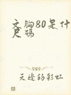 文胸80是什么尺码