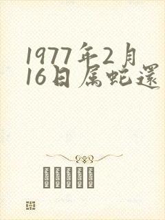 1977年2月16日属蛇还是属龙