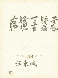 右脸下脖子上有肿块有痛感