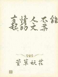 有情人不能在一起的文案