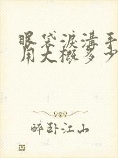 眼袋泪沟手术费用大概多少