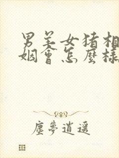 男羊女猪相配婚姻会怎么样