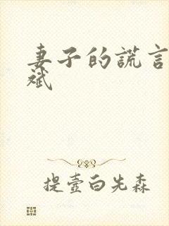 妻子的谎言江一斌