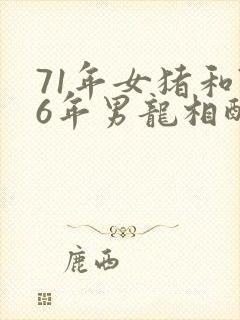 71年女猪和76年男龙相配婚姻好不好