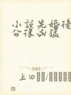 小说先婚后爱老公很凶猛