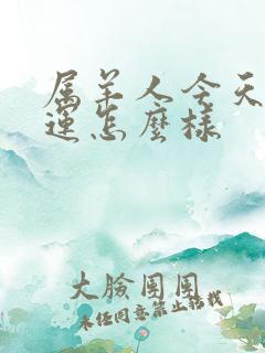 属羊人今天的财运怎么样