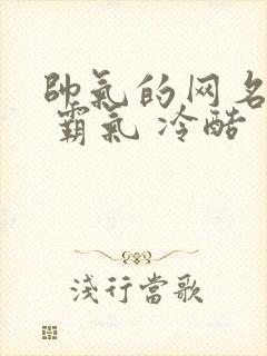 帅气的网名男生 霸气 冷酷