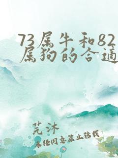 73属牛和82属狗的合适吗