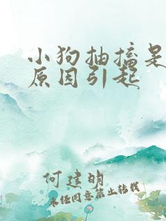 小狗抽搐是什么原因引起