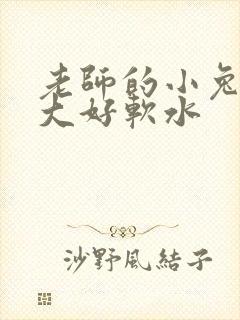 老师的小兔子好大好软水