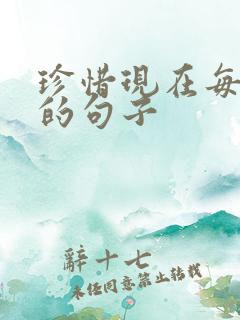 珍惜现在每一天的句子