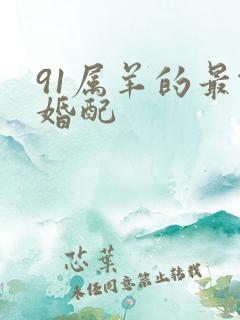 91属羊的最佳婚配