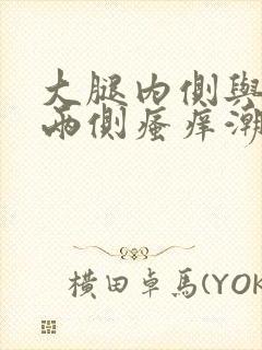 大腿内侧与阴囊两侧瘙痒潮湿发黑抹什么药