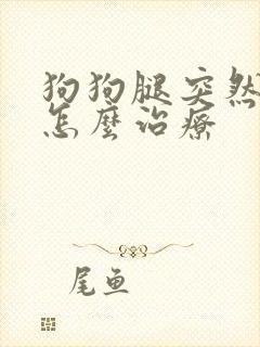 狗狗腿突然瘸了怎么治疗