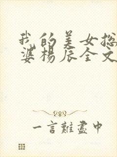 我的美女总裁老婆杨辰全文免费阅读听书