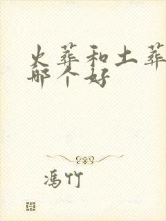 火葬和土葬到底哪个好