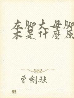 左脚大母脚趾麻木是什么原因