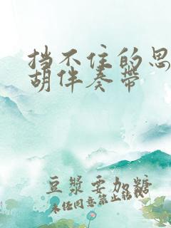 挡不住的思念二胡伴奏带