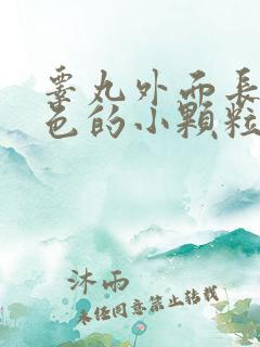 睾丸外面长了白色的小颗粒