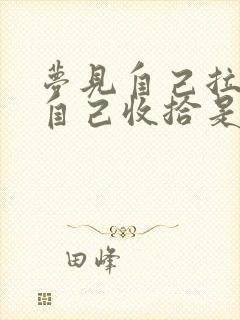 梦见自己拉的屎自己收拾是什么意思