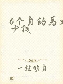 6个月的马犬多少钱