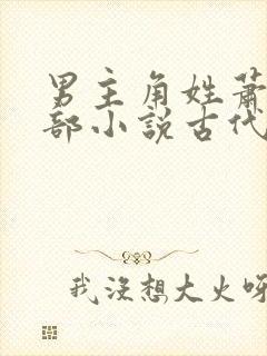 男主角姓萧的全部小说古代