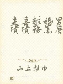 夫妻离婚男方欠债债务怎么分割