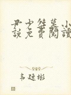 尹少桀慕小小小说免费阅读