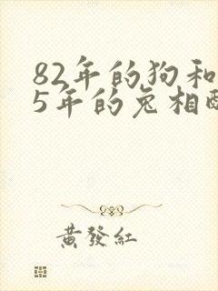 82年的狗和75年的兔相配婚姻如何