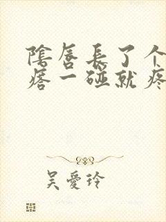 阴唇长了个红疙瘩一碰就疼