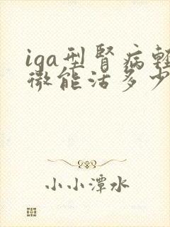 iga型肾病轻微能活多少年