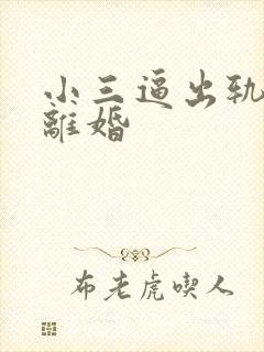 小三逼出轨老公离婚