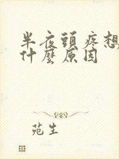 半夜头疼想吐是什么原因