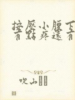 按压小腹下面会有点疼还有尿意