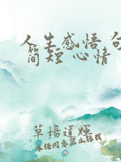 人生感悟 句子 简短 心情