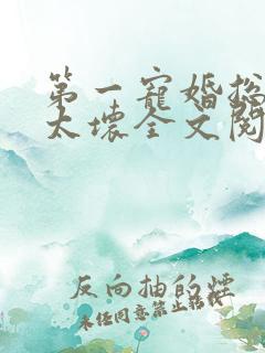 第一宠婚总裁别太坏全文阅读免费阅读