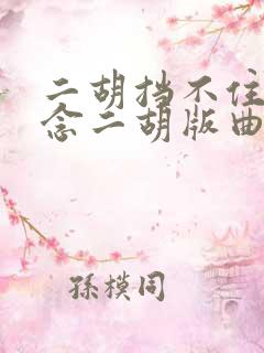 二胡挡不住的思念二胡版曲谱