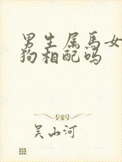 男生属马女生属狗相配吗