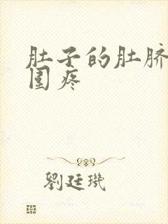 肚子的肚脐眼周围疼