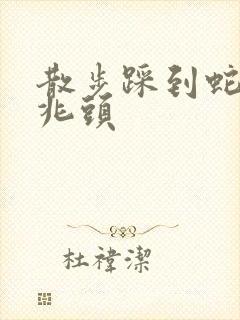 散步踩到蛇什么兆头