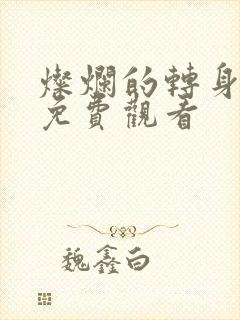 灿烂的转身全集免费观看