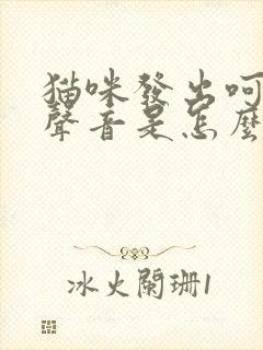 猫咪发出呵呵的声音是怎么回事