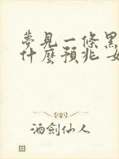 梦见一条黑蛇是什么预兆 女性