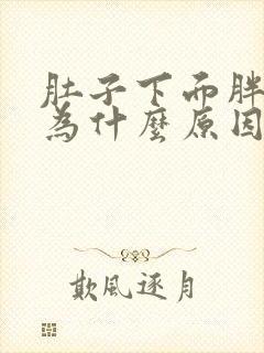 肚子下面胖是因为什么原因