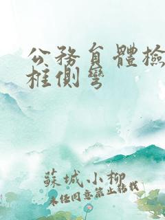 公务员体检 脊椎侧弯