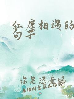 红尘相遇的经典句子