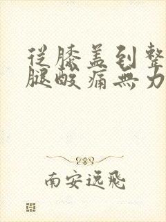 从膝盖到整个小腿酸痛无力