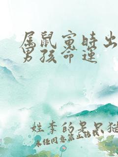 属鼠寅时出生的男孩命运