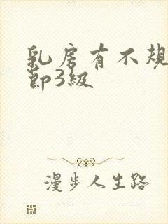 乳房有不规则结节3级