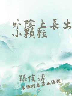 外阴上长出一些小颗粒